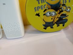 -志龙皇冠吃货椰子铺