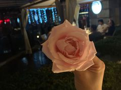 -真爱中国餐馆·年华店(朱雀大街店)