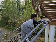 -前小桔亲子创意农场·草莓采摘·露营烧烤