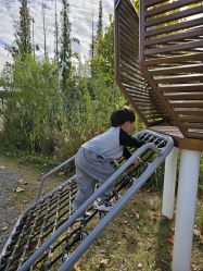 -前小桔亲子创意农场·草莓采摘·露营烧烤