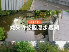 -龙头寺公园