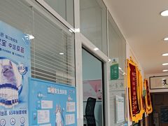 -瑞派长江宠物医院·猫科·外科·24小时夜护(谊城公寓分院)