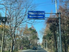 -上海海湾国家森林公园