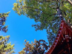 -灵岩山风景区