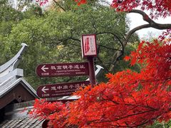 -岳麓山风景名胜区