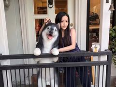 -TrueLove @ Neverland (Husky Cafe)