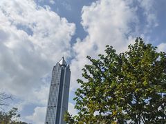 -万绿园