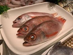 -高佳庄·舟山海鲜(海景旗舰店)