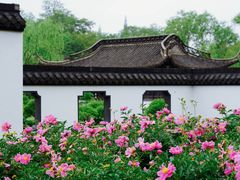 -盆景园(扬州大运河文化旅游度假区)