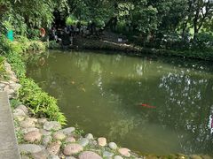 -成都市活水公园