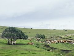 -克什克腾世界地质公园青山景区