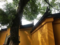 -灵岩山风景区