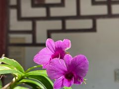 -柳侯公园