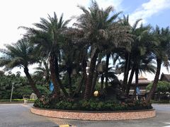 -厦门日月谷温泉渡假村