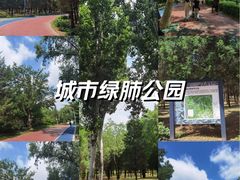 -东升八家郊野公园