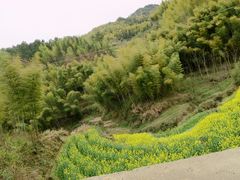 -灵山景区梯田