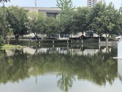 -安徽大学(磬苑校区)