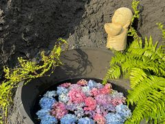 -Blue Concept Cafe&Farm·關於藍