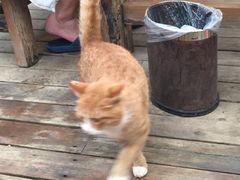 -龙达温泉生态城