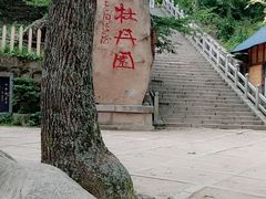 -洛阳白云山景区