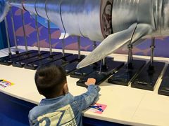 -烟台海昌鲸鲨海洋公园