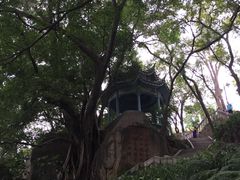 -乌山风景区
