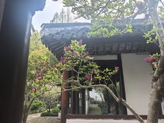 -上海醉白池公园