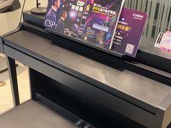 -知音艺术教育培训·钢琴培训·音乐培训(河西金鹰世界校区)