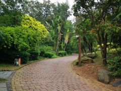-漳州滨海火山岛自然生态风景区
