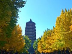 -玲珑塔公园