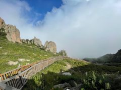 -白草畔自然风景区