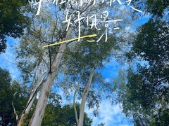 -火炉山森林公园