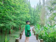 -桤木河湿地公园