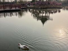-木兰水镇旅游景区