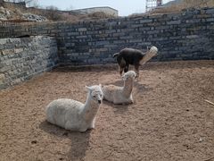 -清风小镇闯关东影视基地