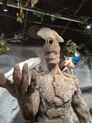 -Zoolung Zoolung动物主题公园(海信广场店)