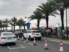 -野狸岛