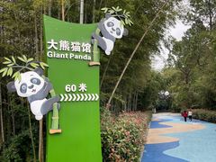 -安吉竹博园