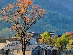 -塔川景区