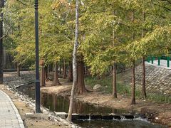-白水寺森林公园