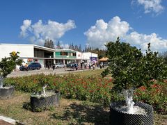 -前小桔亲子创意农场·草莓采摘·露营烧烤