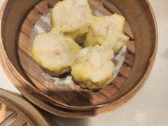 -金鼎轩(方庄天坛店)