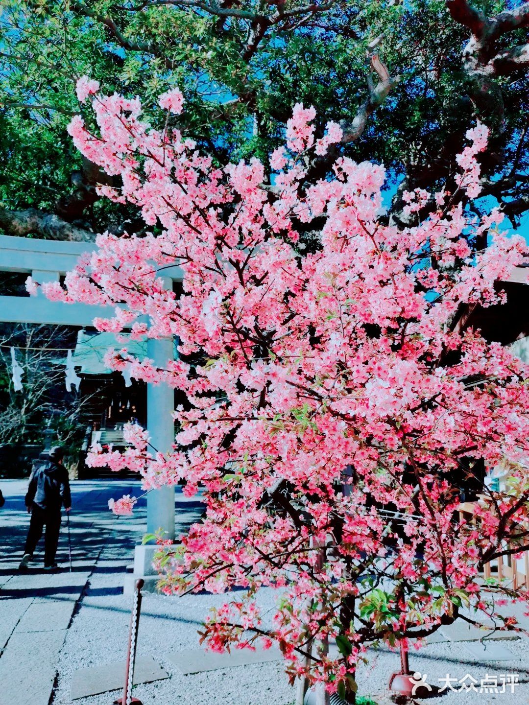 倒数第二次恋爱取景地