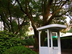 衡山公园-徐家汇源景区-衡山公园