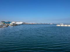 -烟台海昌鲸鲨海洋公园