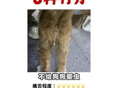 -立德动物医院·异宠·CT·鹦鹉(天河店)