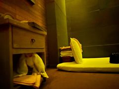 -泰馨玺·正宗泰式按摩SPA(石皮路店)