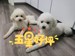 -北京恒爱动物医院(清景园分院)