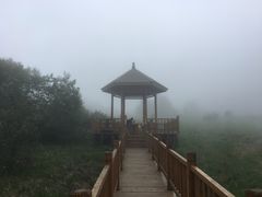 -白草畔自然风景区