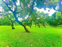 -荔枝公园(福田区)